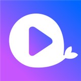 WWW,241se·COM网站APPAPP应用