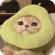 色猫直播图片